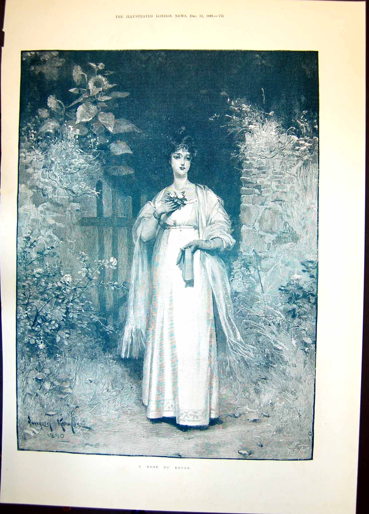 Antique Old Print Rose Devon D Knowles Lady Floods Thames Valley Windsor 1891