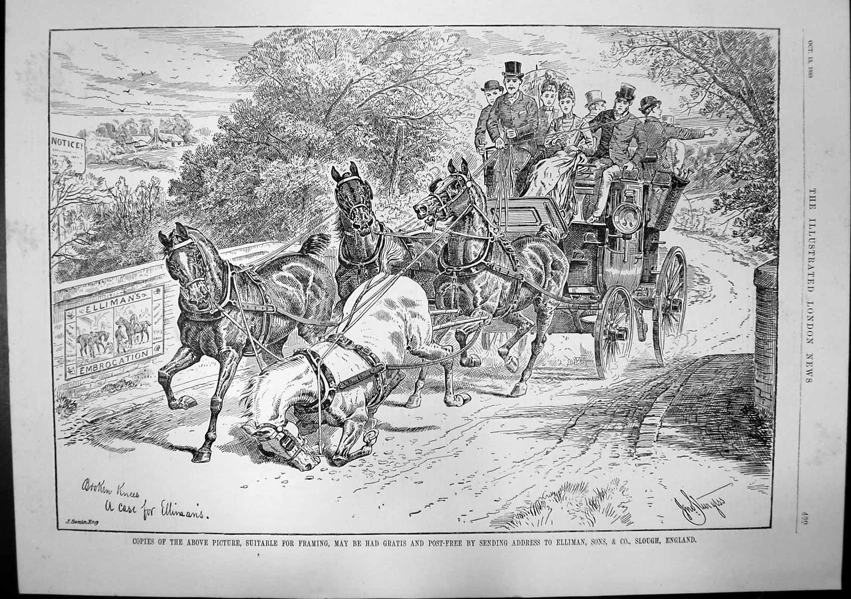 Antique Print Broken Knees Ellimans Embrocation Hampton Sons Furniture 1888
