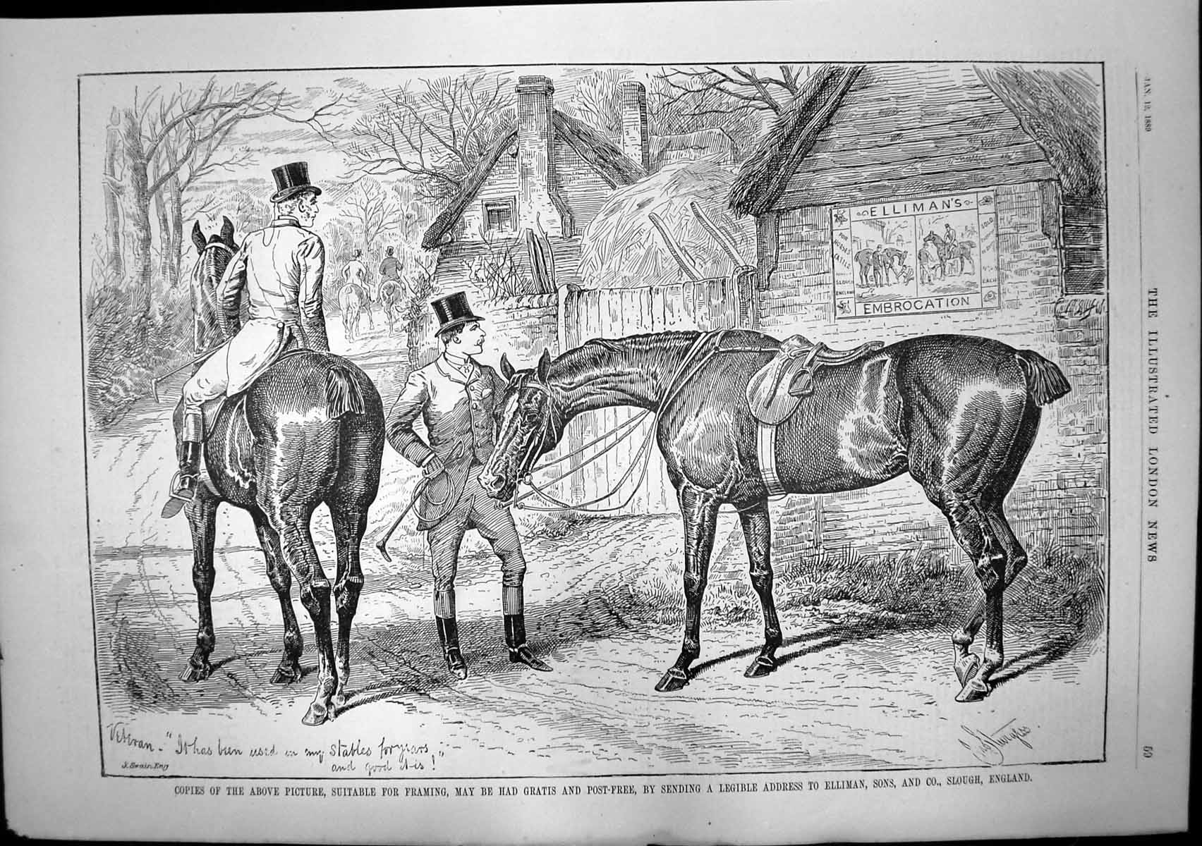 Antique Old Print Ellimans Embrocation Pears Soap Decisions Best Judges 1889
