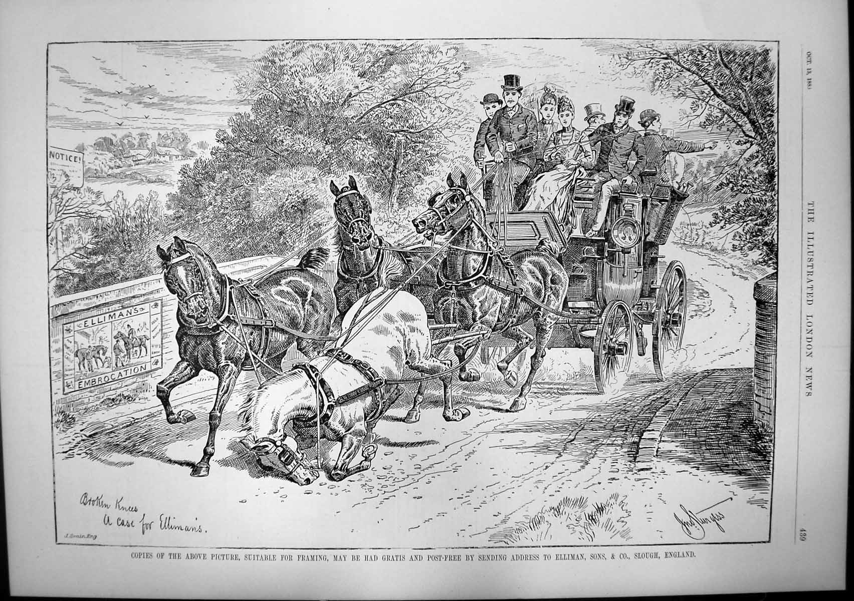 Old Antique Print Ellimans Embrocation Hampton Sons Furniture Suites 1888 19th