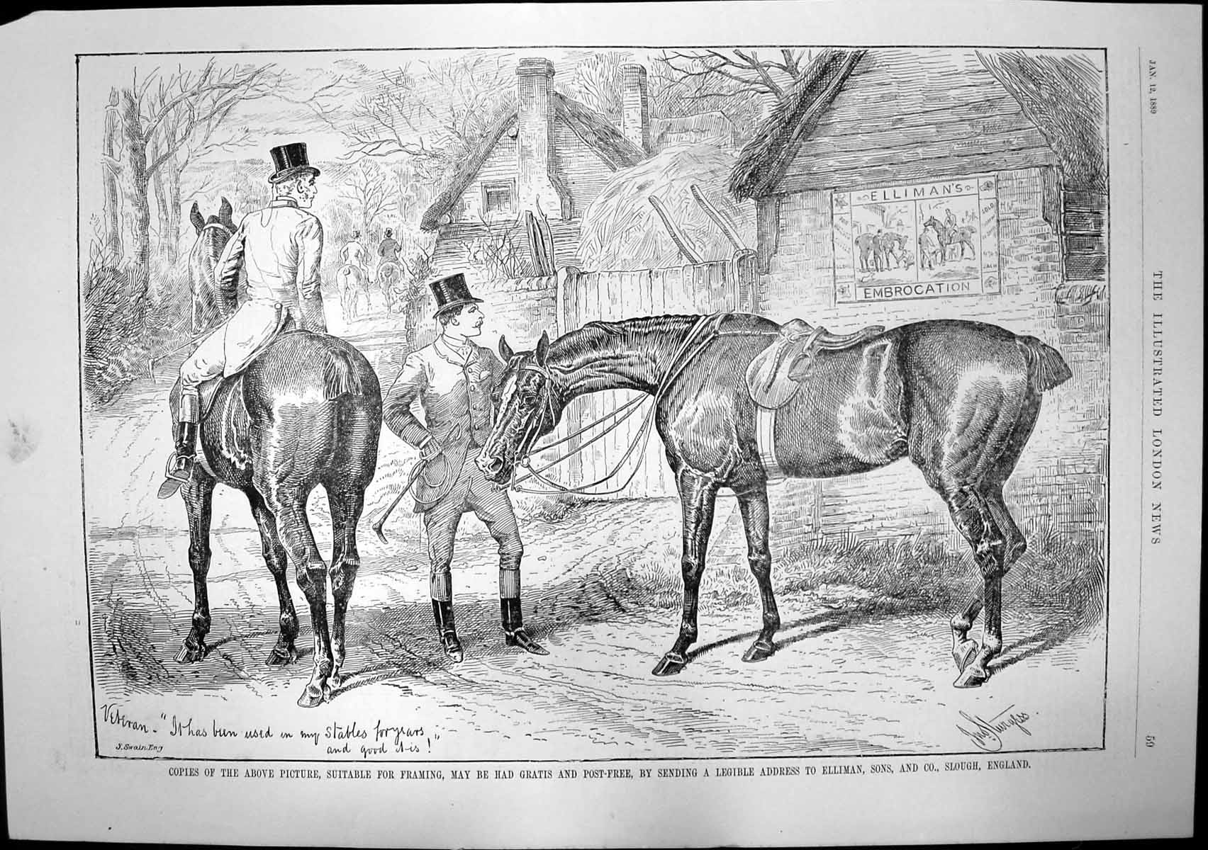 Old Antique Print Ellimans Embrocation Used Stables Years Pears Soap 1889 19th