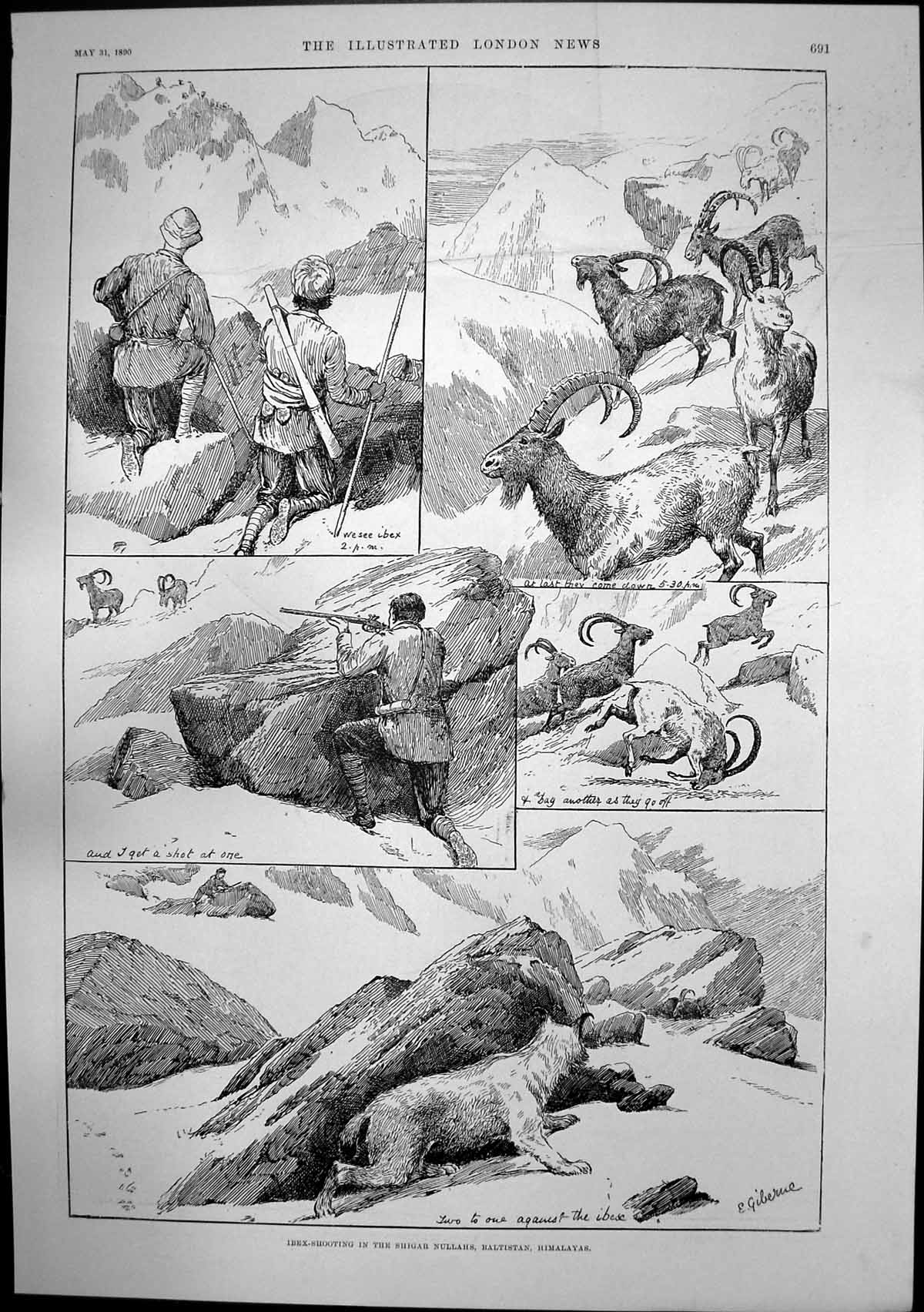 Old Ibex Shooting Himalayas Japanese Pillow Sir Frederick Haines 1890 Victorian
