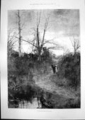 Antique Old Print Springtime Year Ounce Snow Leopard Zoological Gardens 1891