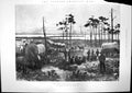 Antique Old Print United States Camp Tampa Sandoval Camp Negroes Train 1898