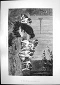 Antique Print Quoth Raven Stanley Berkeley Miles Syndercombes Cottage 1890 19th