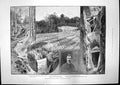 Old Antique Print Pahang Mining Works Medical College Guys Hospital 1890 19th