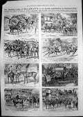 Old Antique Print Ellimans Embrocation Masonic Emblems Flowers Penge 1906 20th