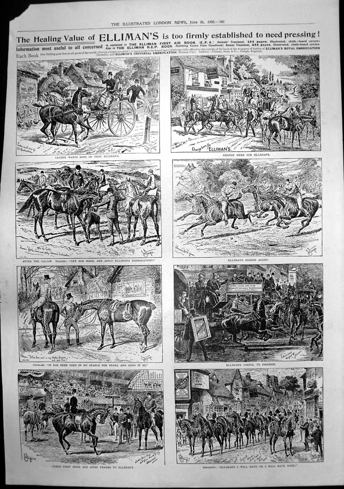 Old Antique Print Ellimans Embrocation Masonic Emblems Flowers Penge 1906 20th