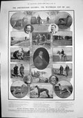 Antique Old Print Greyhound Waterloo Cup Prince Wales Devonport Dockyard1907