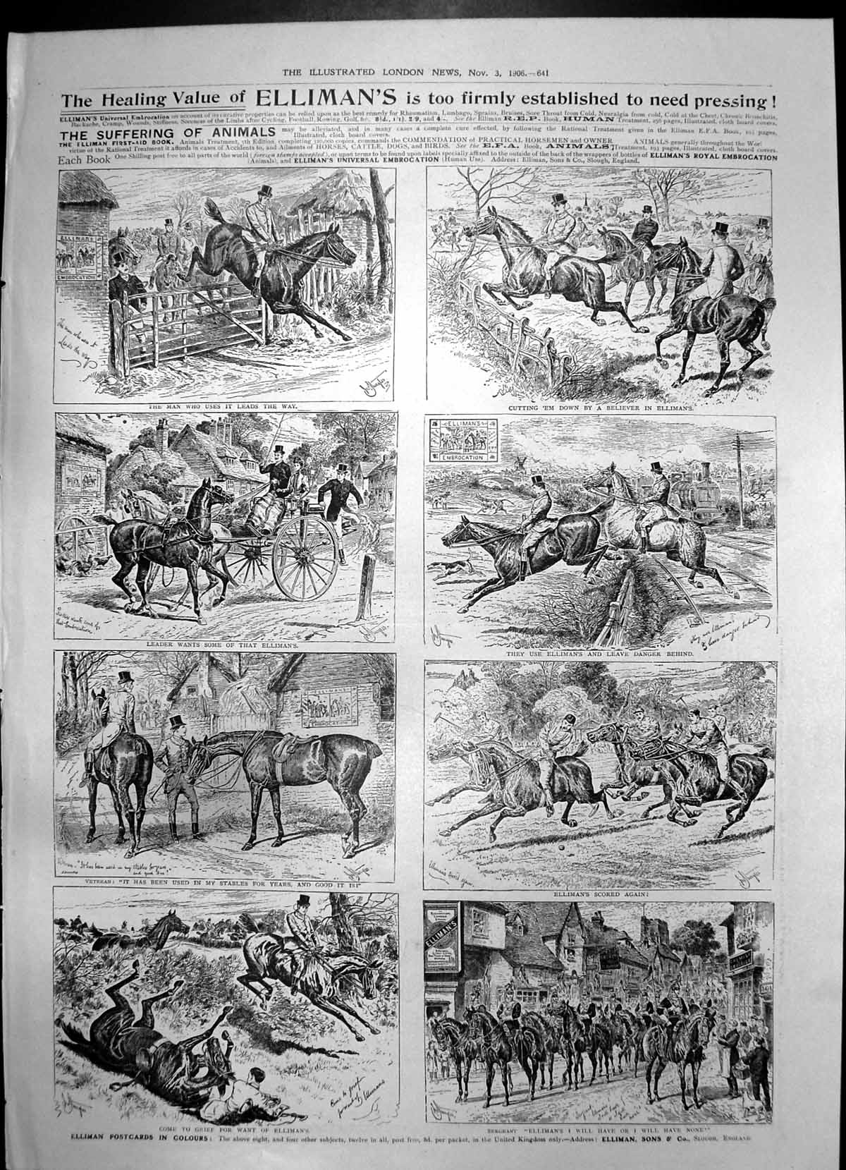 Antique Print Ellimans Embrocation Horses Water Lillies Victoria Regia 1906