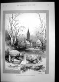 Antique Old Print Eaton Hall Chester Duke Westminster Prince Adolph Teck 1894