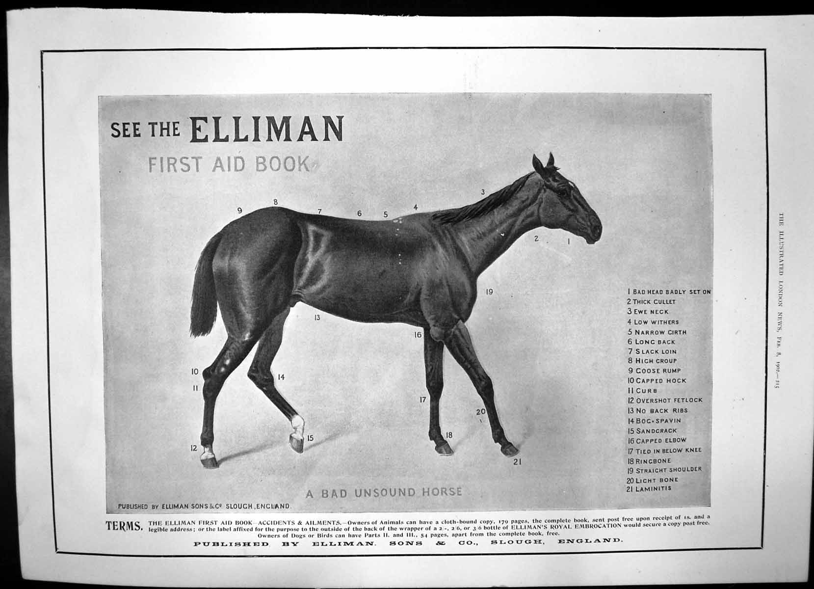 Old Print Elliman First Aid Book Silver Centrepiece Madras Infantry 1902 20th