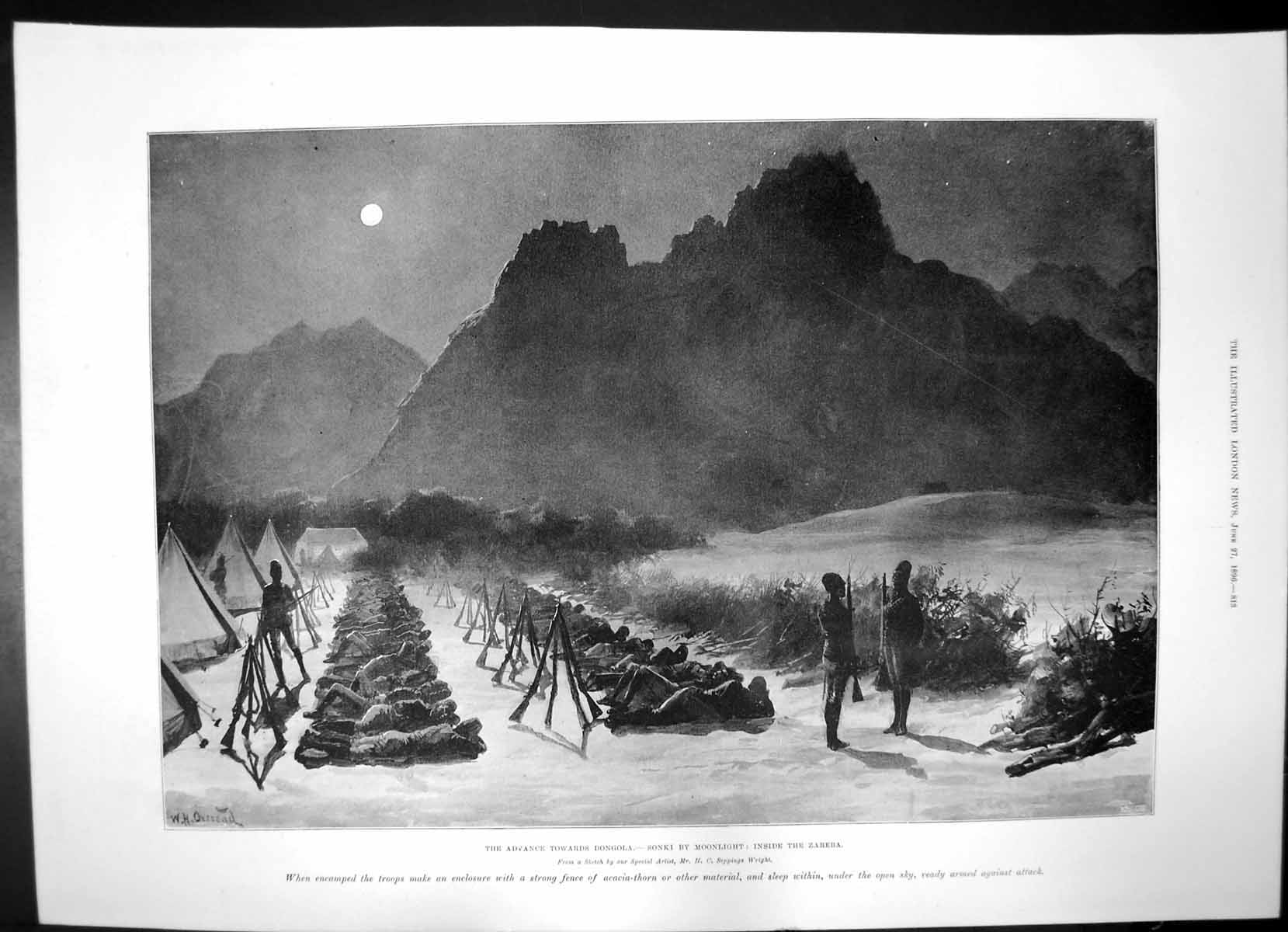 Antique Old Print Advance Dongola Sonki Zareba Stockyards Chicago Cattle 1896