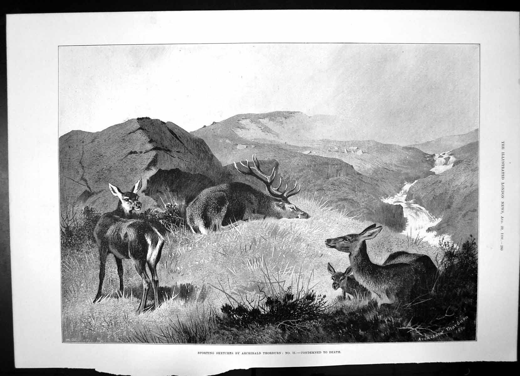 Antique Old Print Deer Condemned Death Edmund Monson Ambassador French1896 19th