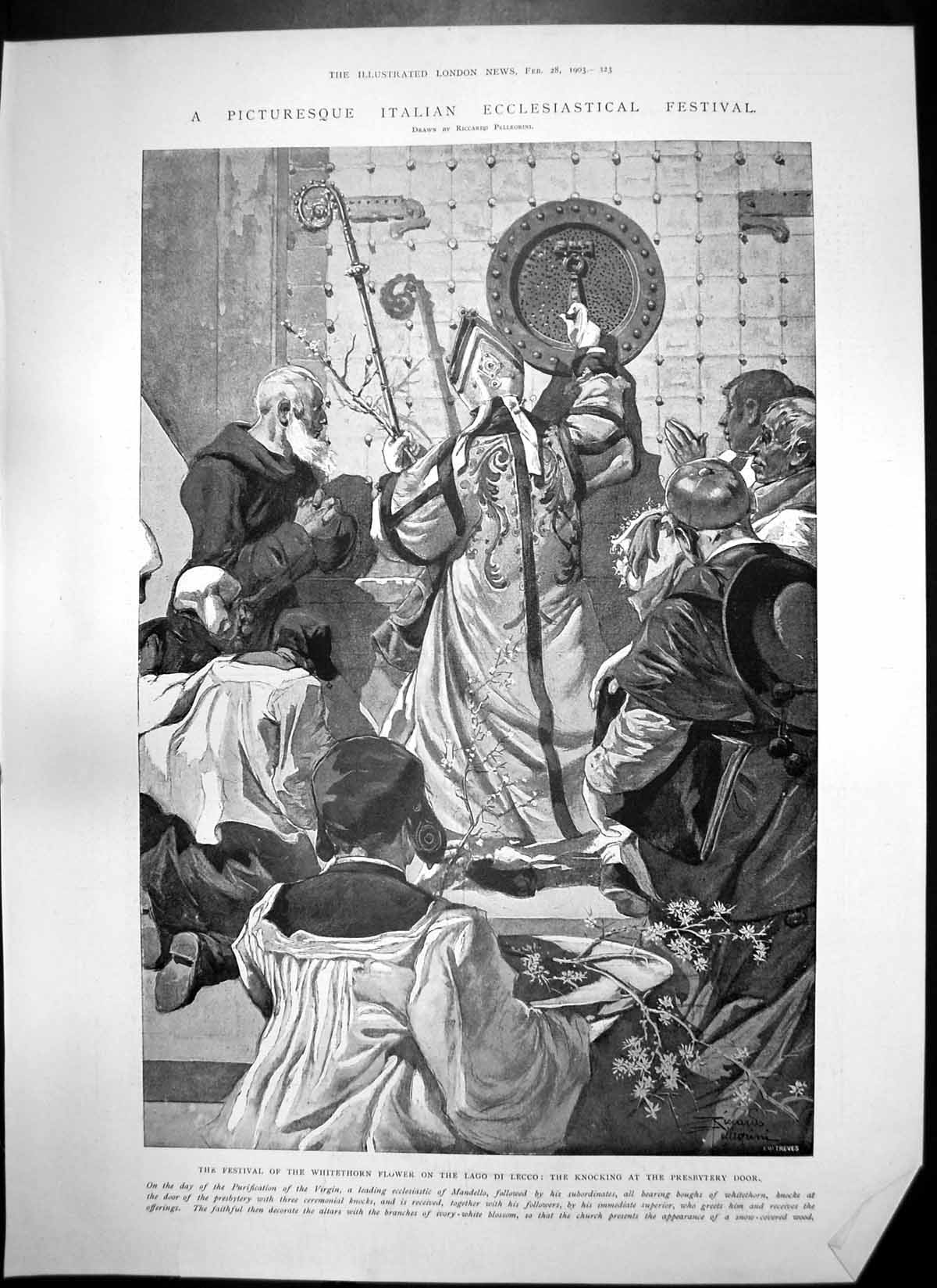 Old Print Italian Festival Whitehorn Flower Cloth Dress Velvet Lace 1903 20th