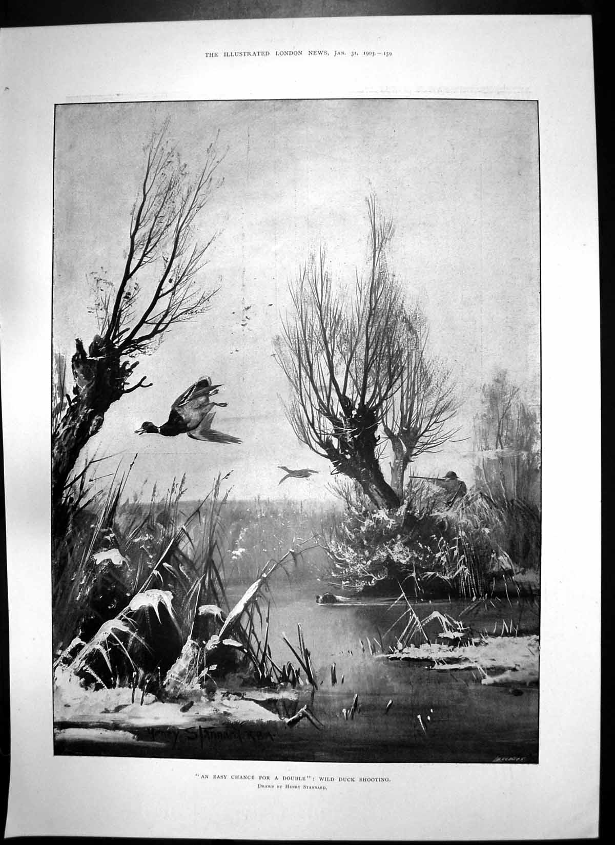 Old Antique Print Wild Duck Shooting Colonial Secretary South Africa 1903 20th