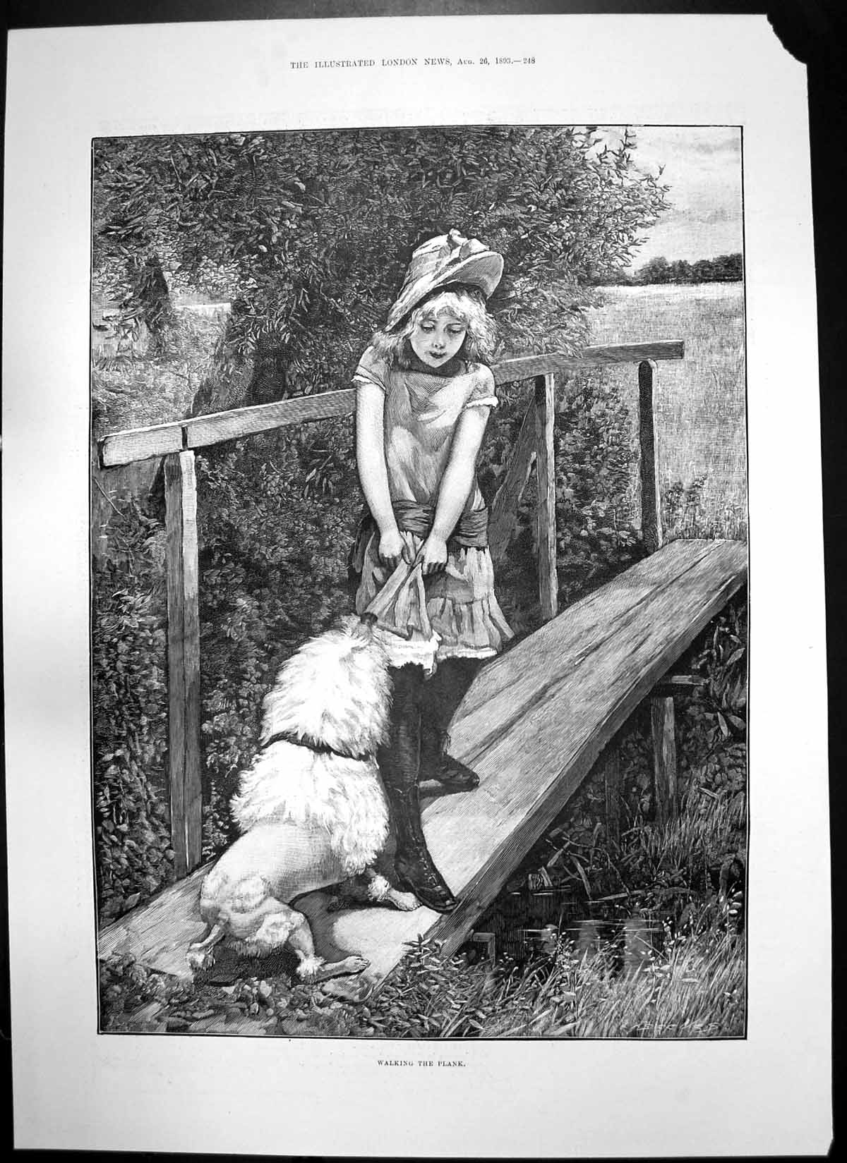 Original Old Antique Print Walking Plank Girl Dog Prince Alfred Edinburgh 1893