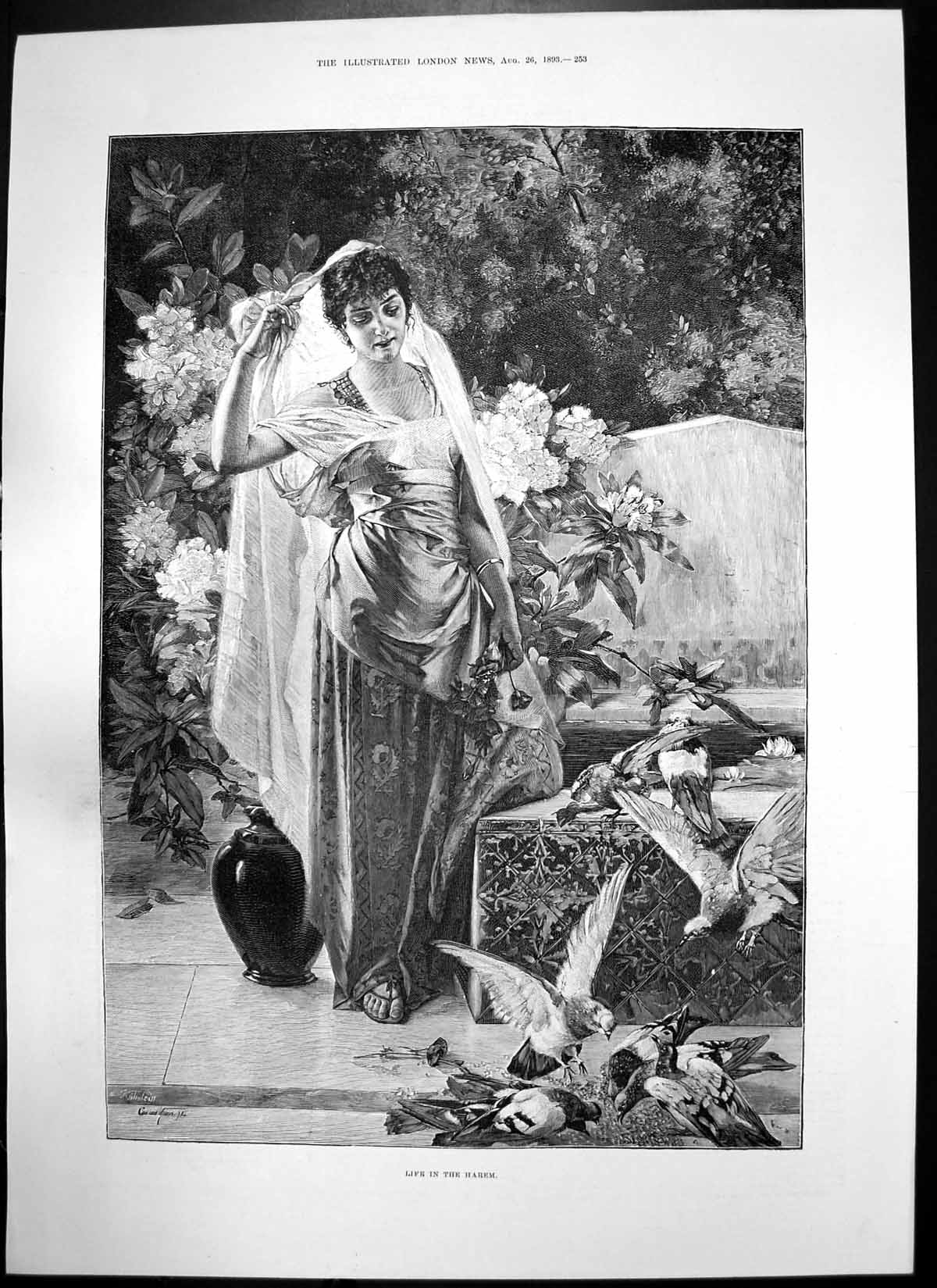 Antique Old Print Life Harem Kate Macdonald Harp Mod Oban Lord Campbell 1893