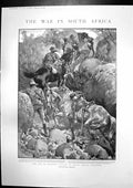 Old Antique Print War South Africa Troops Scouting Wounded Hospital 1900 20th