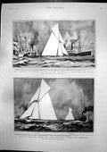 Antique Old Print America Cup Race Shamrock New President United States 1901