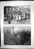 Antique Print Yangbans Korea Stalking Hartebeeste Russians Amur River 1901 20th