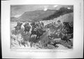 Antique Old Print Colonel Barbers Attack Doornberg South African Railway 1901