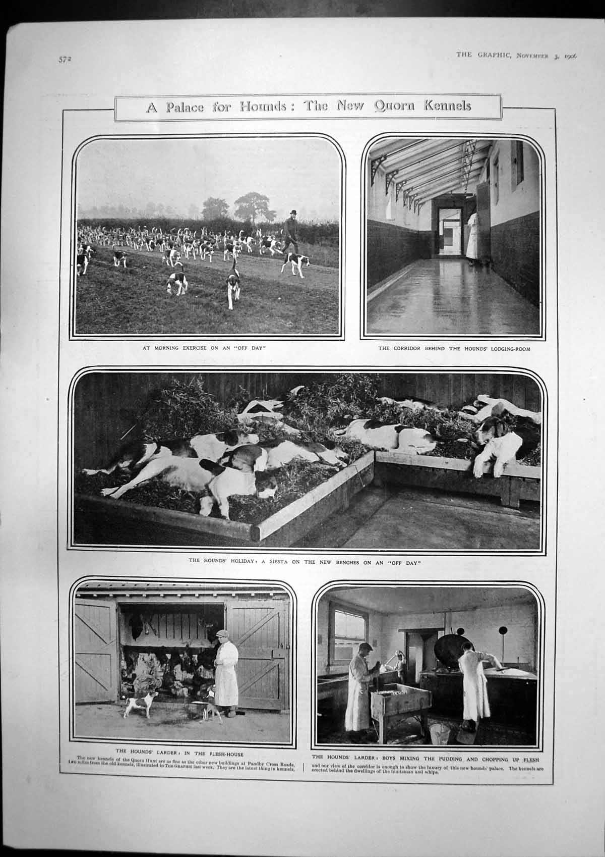 Antique Old Print New Quorn Kennels Hounds Parliament Austen Chamberlain 1906