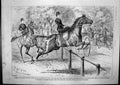 Antique Print Ellimans Embrocation Horses Salt Regal Refreshing Drink 1889 19th