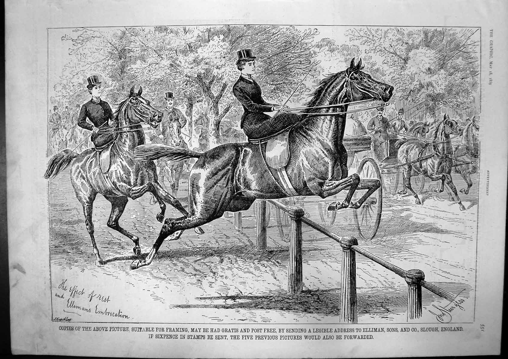 Antique Print Ellimans Embrocation Horses Salt Regal Refreshing Drink 1889 19th