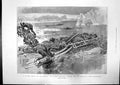 Antique Print Sledge Through Ice Jackson Toast Queens Birthday Elmwood1897 19th