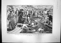 Antique Print Summer Eights Oxford Royal Military Tournament Pushball 1904 20th
