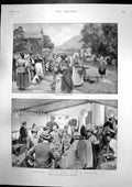 Old Antique Print Ireland Kenmare Mr Rhodes Welcome Cape Town Zebras 1899 19th