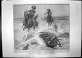 Antique Old Print Coyote Hunt Ranchmen Royal Tour India Town Hall Bombay 1905