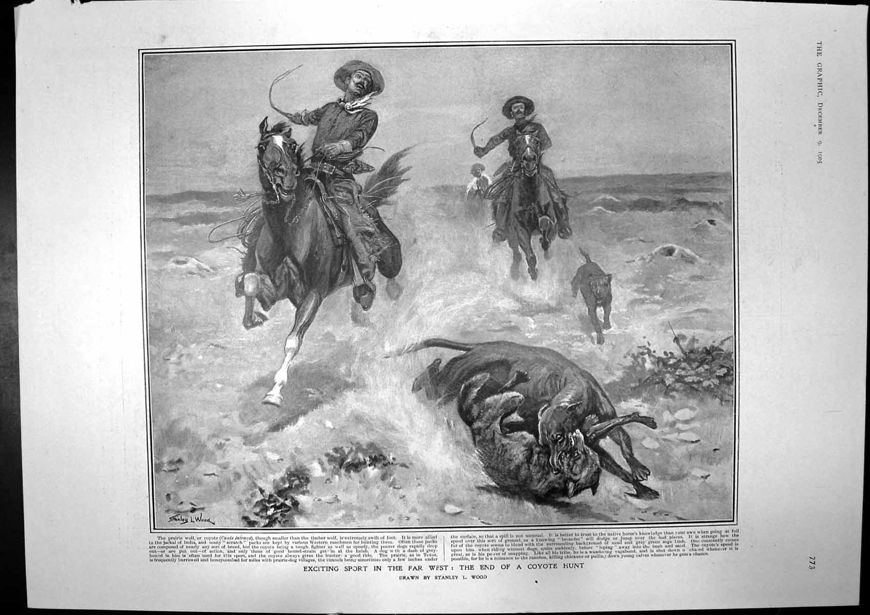 Antique Old Print Coyote Hunt Ranchmen Royal Tour India Town Hall Bombay 1905