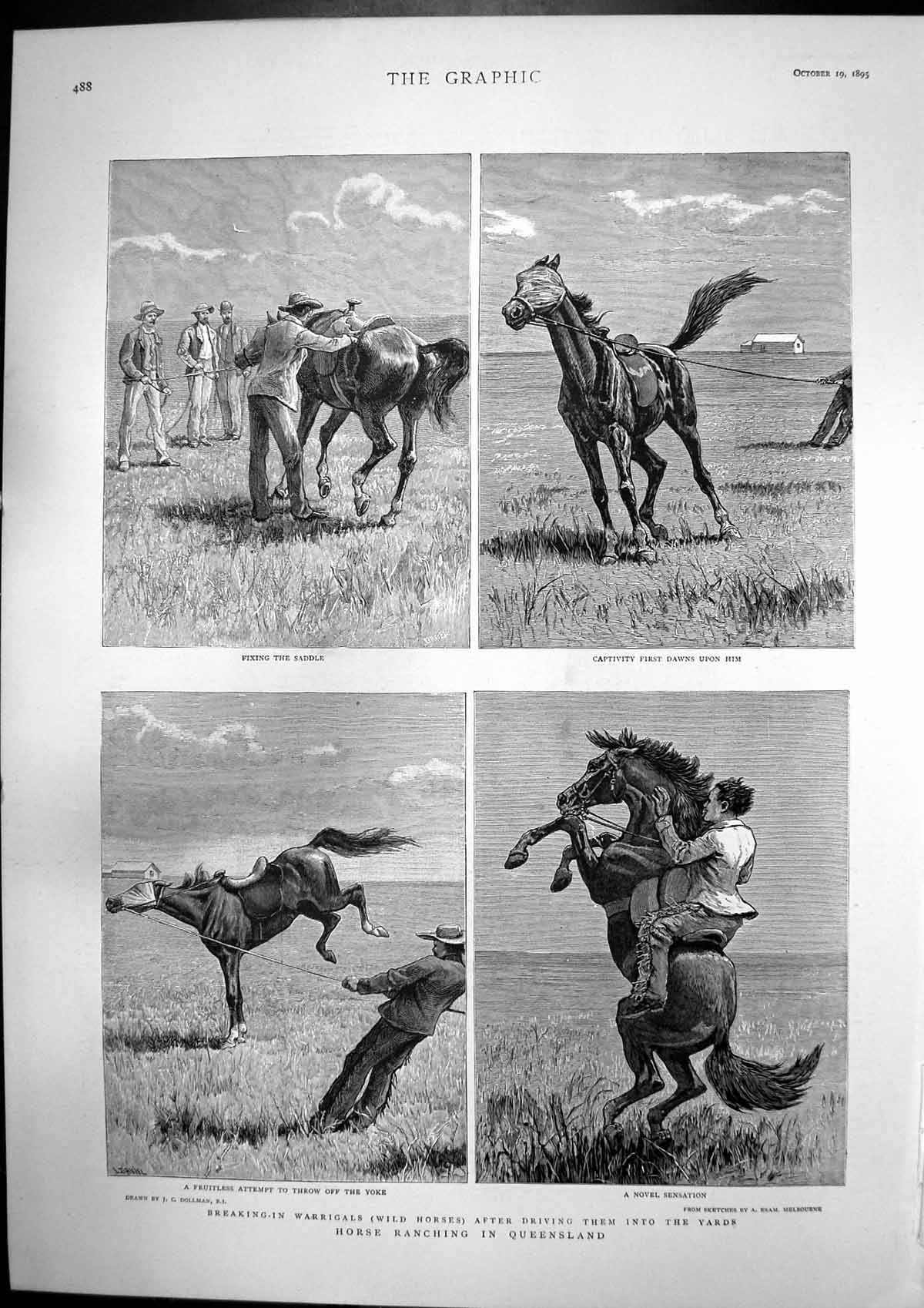 Antique Print Horse Ranching Queensland New Privy Councillors R Paget 1895 19th