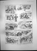Antique Old Print Staging Stag Summers Day John Muirhead Country Scene 1903
