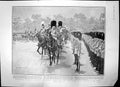 Antique Print King Trooping Colour New King Servia Peter Elephant Zoo 1903 20th