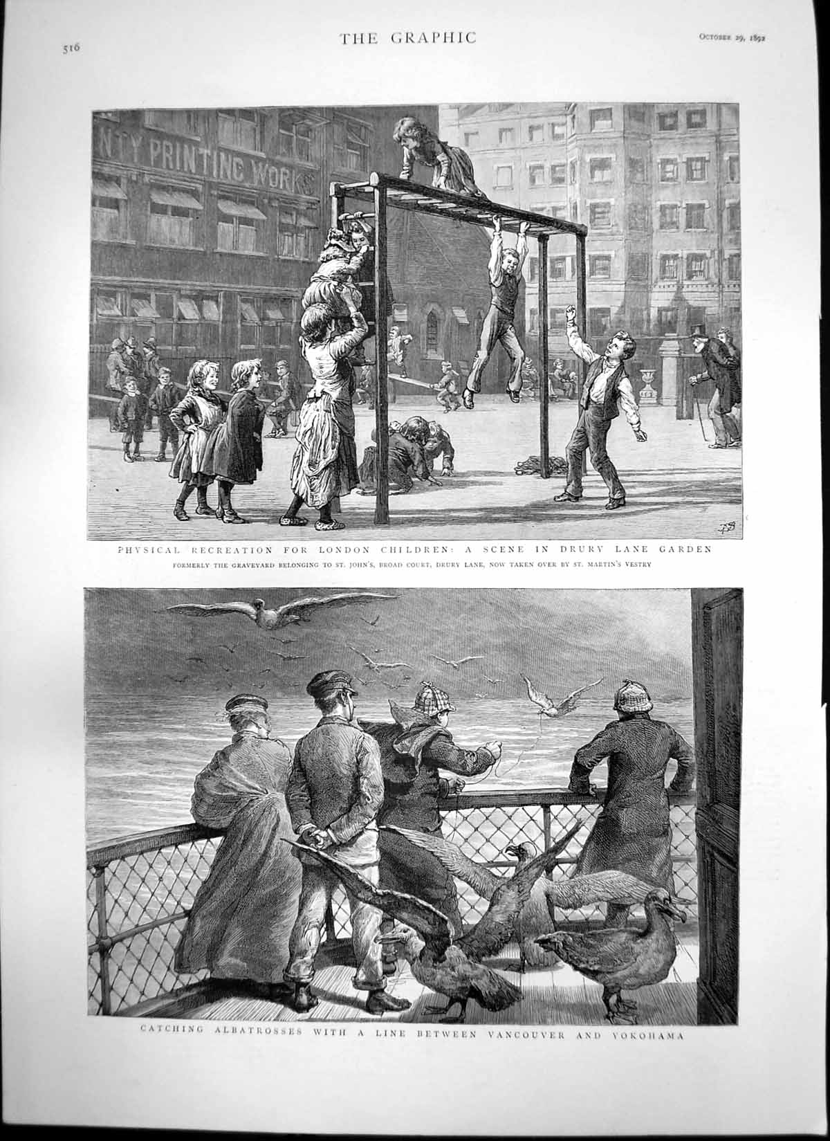 Antique Print Catching Albatrosses Physical Recreation London Children 1892
