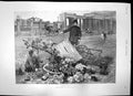 Old Print Move On Cart Plants Overturned Don Alfonso Xiii King Spain 1892 19th