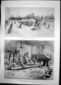 Antique Print Barnato Park Johannesburg Primrose GMine Ladies Dresses 1896 19th