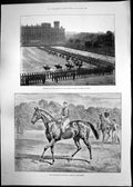 Old Trooping Colour Isinglass Winner Derby Bishops Palace Derry 1893 Victorian