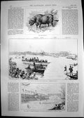 Old Print Cape Buffalo Boat Race Mortlake Queen Cemetery St Etienne 1889 19th