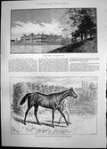 Old Print Welbeck Abbey Donovan Winner Derby Hms Surprise Collision 1889 19th