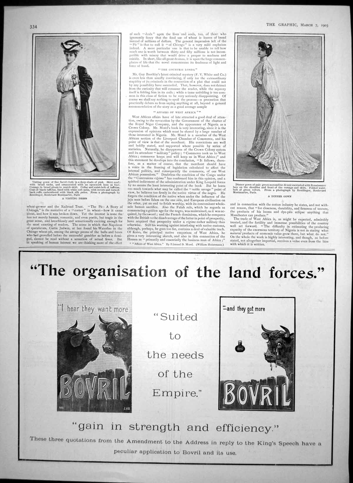 Antique Print Visiting Dress Dinner Gown Bovril Williams Shaving Soap 1903 20th