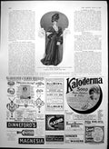 Old Print Calling Costume Paris Swan Fountain Pen Javol Hair Bovril 1906 20th