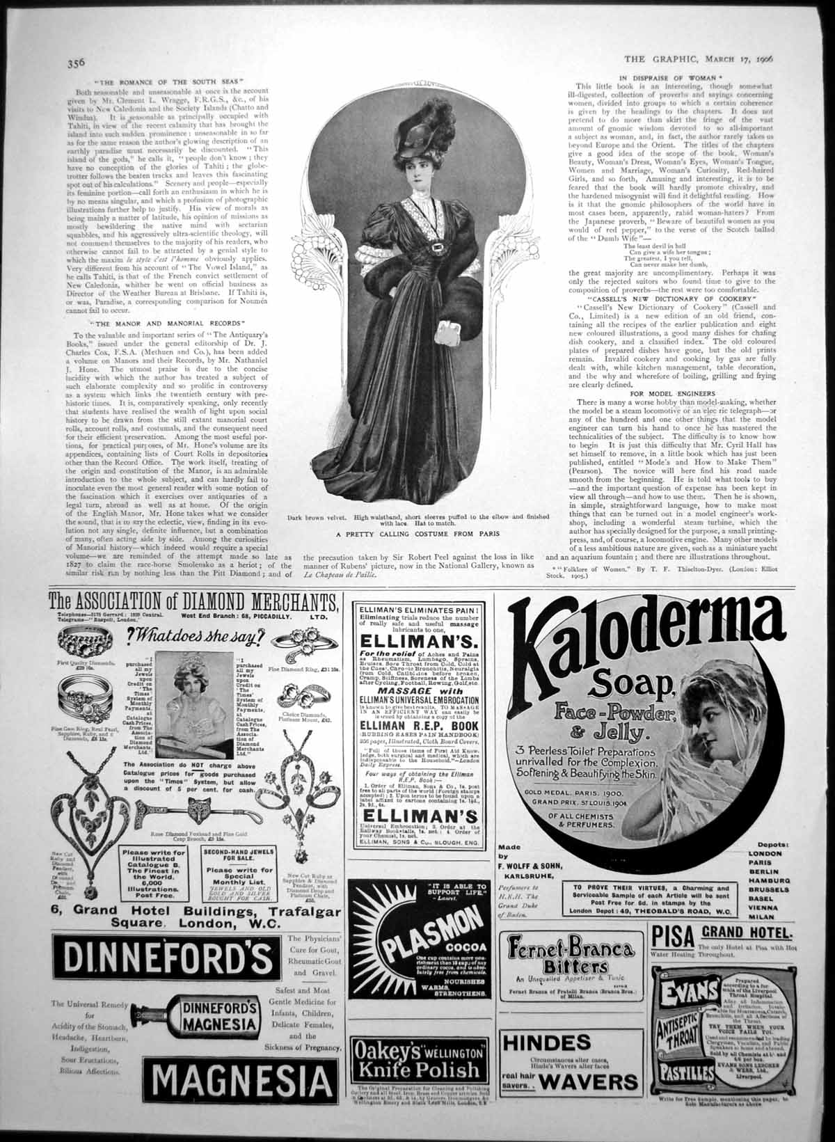 Old Print Calling Costume Paris Swan Fountain Pen Javol Hair Bovril 1906 20th