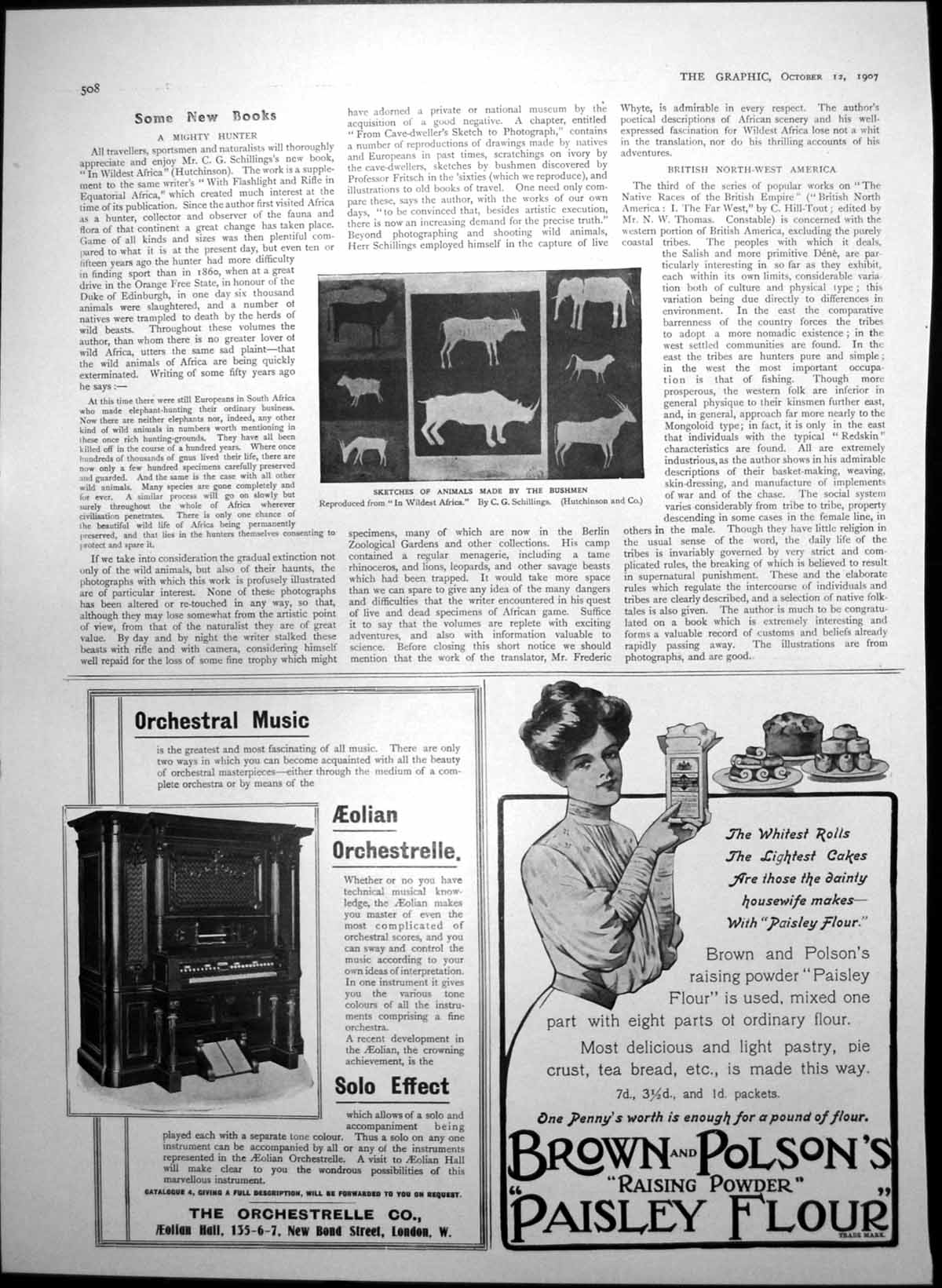 Old Antique Print Animals Made Bushmen Brown Polsons Raising Flour 1907 20th