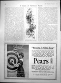 Antique Old Print Illustration Land Enchantment Vinolia Soap Mappin Webb 1907