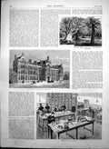Old Print Burnham Beeches Technical School South Kensington Finsbury 1884 19th