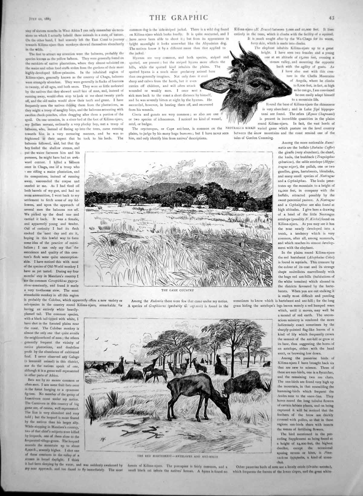Old Game Country Antelopes Ant Hills Fish River Lumi Varanus Lizards
